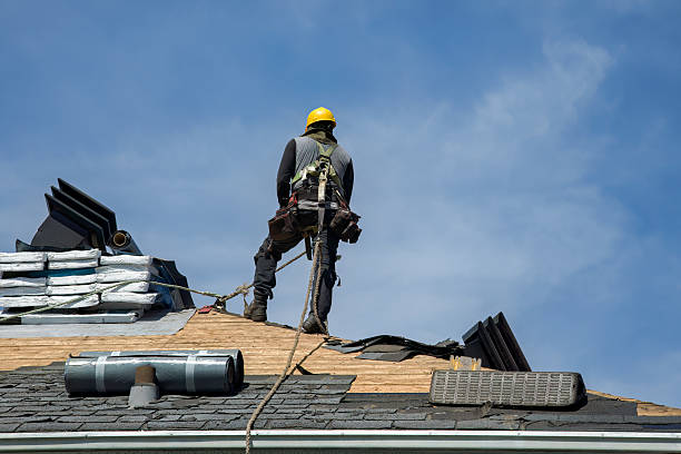 Professional Flat Roof Repair technician working in Orion, IL